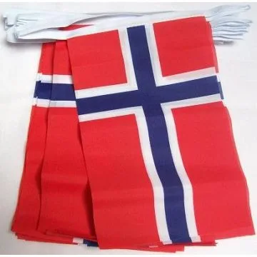 Guirlande 12 mètres 20 Drapeaux Norvège 45x30 cm - Drapeau norvégien 30 x 45 cm