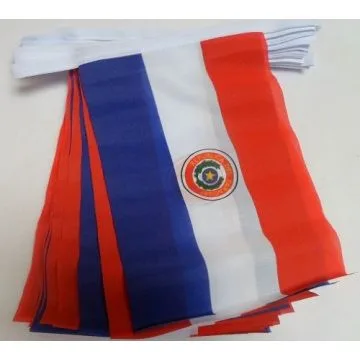 Guirlande 12 mètres 20 Drapeaux Paraguay 45x30 cm - Drapeau paraguayen 30 x 45 cm