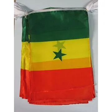 GUIRLANDE 12 mètres 20 DRAPEAUX SÉNÉGAL 45x30 cm - DRAPEAU SÉNÉGALAIS 30 x 45 cm