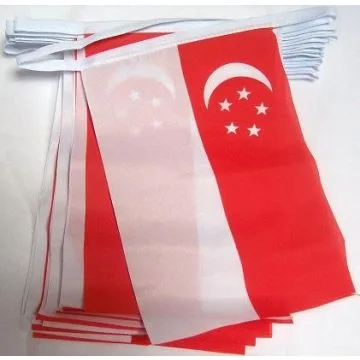Guirlande 12 mètres 20 Drapeaux Singapour 45x30 cm - Drapeau singapourien 30 x 45 cm