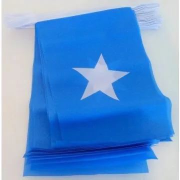 Guirlande 12 mètres 20 Drapeaux Somalie 45x30 cm - Drapeau somalien 30 x 45 cm
