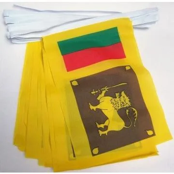 Guirlande 12 mètres 20 Drapeaux Sri Lanka 45x30 cm - Drapeau sri lankais 30 x 45 cm