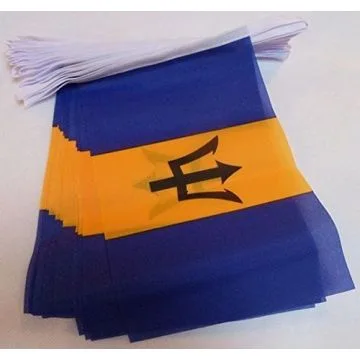 Guirlande 12 mètres 20 Drapeaux Barbade 45x30 cm - Drapeau barbadien 30 x 45 cm