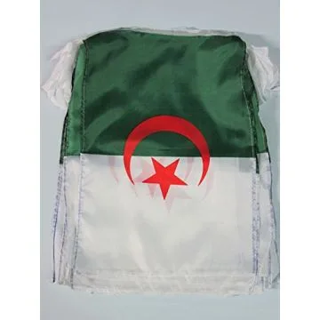 GUIRLANDE 12 mètres 20 DRAPEAUX ALGÉRIE 45x30 cm - DRAPEAU ALGÉRIEN 30 x 45 cm