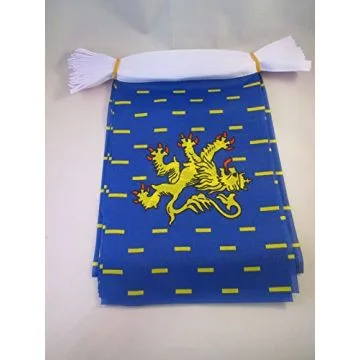 Guirlande 12 mètres 20 Drapeaux Franche-Comté 45x30 cm - Drapeau franc-comtois 30 x 45 cm
