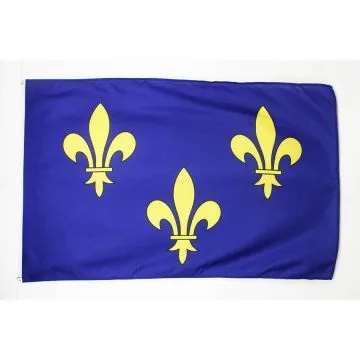 Guirlande Drapeau Ile-de-France 12 mètres | 20 drapeaux 45x30 cm