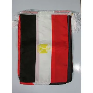 GUIRLANDE 12 mètres 20 DRAPEAUX EGYPTE 45x30 cm - DRAPEAU EGYPTIEN 30 x 45 cm