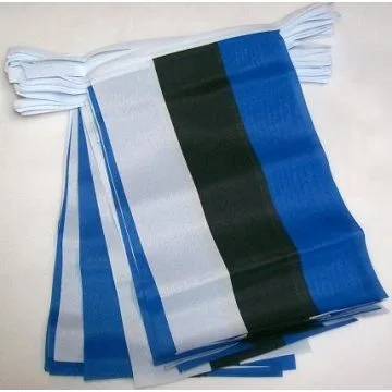 Guirlande 12 mètres 20 Drapeaux Estonie 45x30 cm - Drapeau estonien 30 x 45 cm