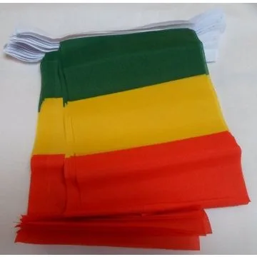 Guirlande 12 mètres 20 Drapeaux Guinée 45x30 cm - Drapeau guinéen 30 x 45 cm