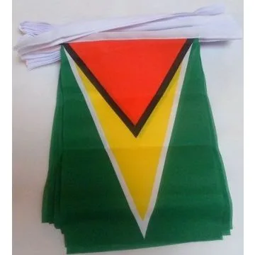 Guirlande 12 mètres 20 Drapeaux Guyana 45x30 cm - Drapeau guyanien 30 x 45 cm