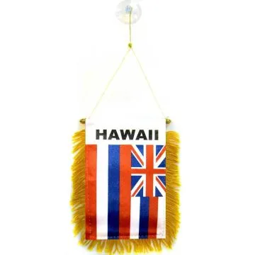 FANION HAWAII 15x10cm - Mini drapeau HAWAIIEN - ETAT AMÉRICAIN - USA - ETATS-UNIS 10 x 15 cm spécial voiture - Bannière