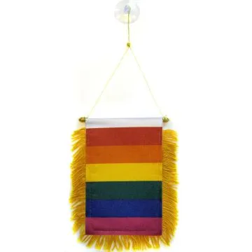 FANION ARC-EN-CIEL 15x10cm - Mini drapeau GAY - RAINBOW FLAG 10 x 15 cm spécial voiture - Bannière