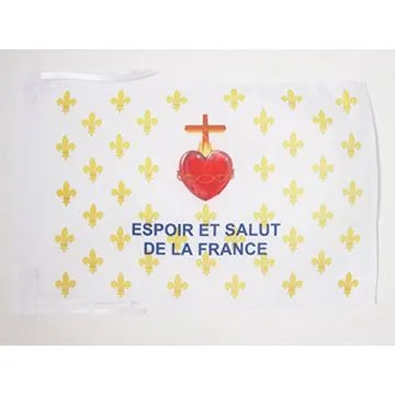 DRAPEAU ARMOIRIES FRANCE 3ÈME RÉPUBLIQUE 45x30cm - PAVILLON FRANÇAIS EMBLÈME 1898 30 x 45 cm haute qualité