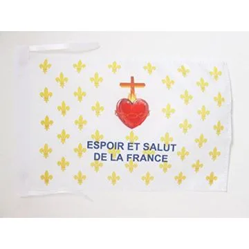 DRAPEAU FLEUR DE LYS OR ESF 45x30cm - PAVILLON ROYALISTE ESPOIR ET SALUT DE LA FRANCE 30 x 45 cm haute qualité