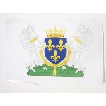 DRAPEAU BLASON ROYAUME DE FRANCE CHARLES VI 45x30cm - PAVILLON ROYALISTE FRANÇAIS 30 x 45 cm haute qualité