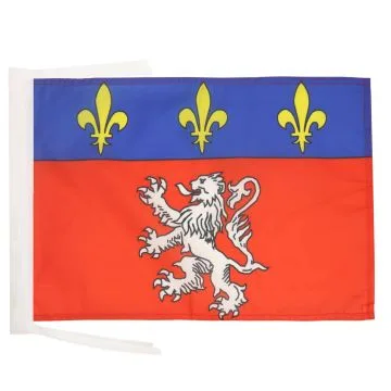 DRAPEAU PROVINCE DU LYONNAIS 45x30cm - PAVILLON DE LYON 30 x 45 cm haute qualité