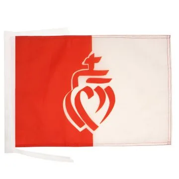 DRAPEAU DÉPARTEMENT DE LA VENDÉE 45x30cm - PAVILLON C?UR VENDÉEN 30 x 45 cm haute qualité