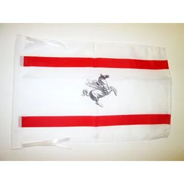 DRAPEAU TOSCANE 45x30cm - PAVILLON TOSCAN - TOSCANA - ITALIE 30 x 45 cm haute qualité