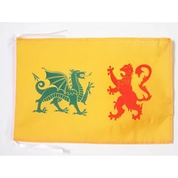 DRAPEAU ROYAUME DE GALICE 410-585 45x30cm - PAVILLON REINO DE GALICIA - ESPAGNE 30 x 45 cm haute qualité