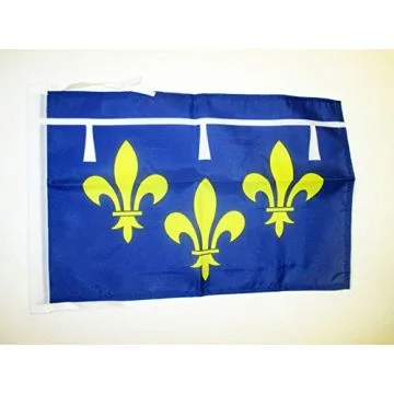 DRAPEAU PROVINCE ORLÉANAIS 45x30cm - PAVILLON ORLÉANS - FRANCE 30 x 45 cm haute qualité