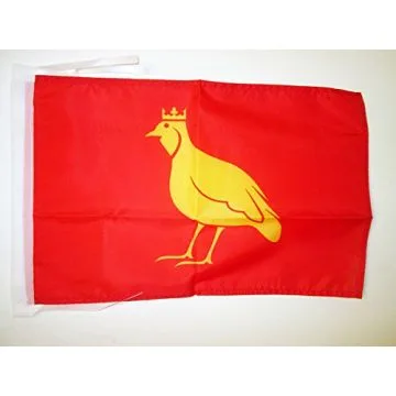DRAPEAU PROVINCE D\'AUNIS 45x30cm - PAVILLON CHARENTE-MARITIME - FRANCE 30 x 45 cm haute qualité