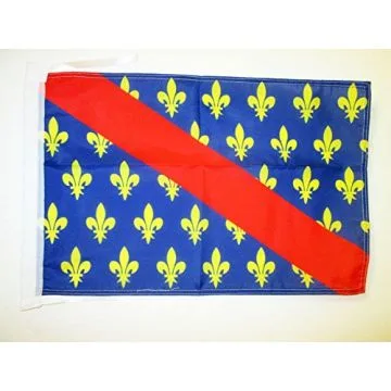 DRAPEAU PROVINCE DU BOURBONNAIS 45x30cm - PAVILLON DUCHÉ DE BOURBON - FRANCE 30 x 45 cm haute qualité