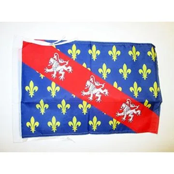 DRAPEAU COMTÉ DE LA MARCHE 45x30cm - PAVILLON PROVINCE FRANCE - CREUSE 30 x 45 cm haute qualité