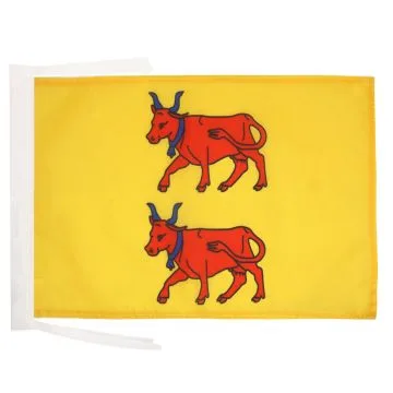 DRAPEAU PROVINCE DU BÉARN 45x30cm - PAVILLON PYRÉNÉES-ATLANTIQUES - FRANCE 30 x 45 cm haute qualité