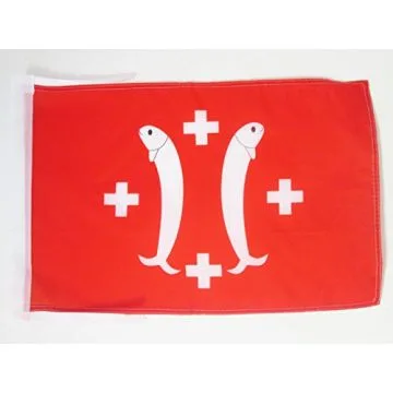 DRAPEAU PRINCIPAUTÉ DE SALM-SALM 45x30cm - PAVILLON COMTÉ DE SALM - FRANCE 30 x 45 cm haute qualité