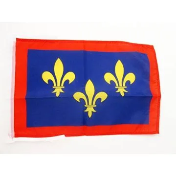 DRAPEAU PROVINCE D\'ANJOU 45x30cm - PAVILLON ANGERS - FRANCE 30 x 45 cm haute qualité