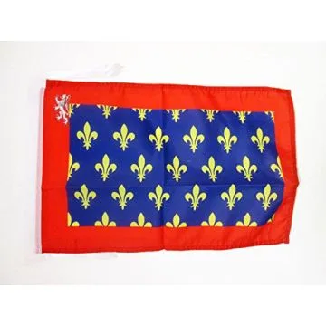DRAPEAU COMTÉ DU MAINE 45x30cm - PAVILLON PROVINCE MAINE ET PERCHE - FRANCE 30 x 45 cm haute qualité
