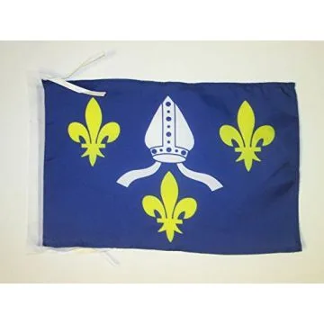 DRAPEAU COMTÉ DE SAINTONGE 45x30cm - PAVILLON DE SAINTONGE 30 x 45 cm haute qualité