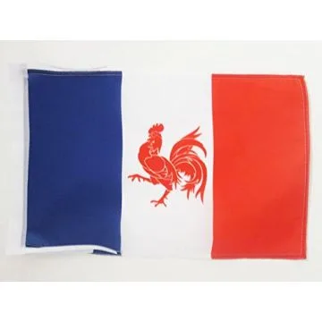 DRAPEAU MOUVEMENT WALLONIE FRANÇAISE 45x30cm - PAVILLON WALLON FRANÇAIS 30 x 45 cm haute qualité
