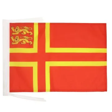 DRAPEAU NORMANDIE CROIX DE OLAF 2 LIONS 45x30cm - PAVILLON NORMAND 30 x 45 cm haute qualité