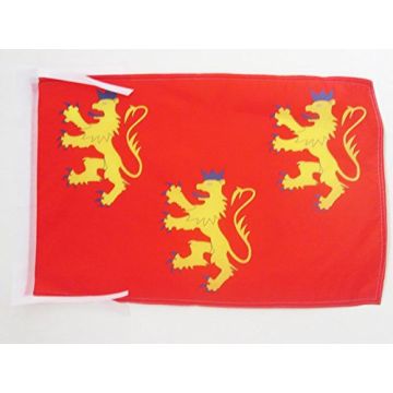 DRAPEAU DORDOGNE 45x30cm - PAVILLON DÉPARTEMENT FRANÇAIS - AQUITAINE 30 x 45 cm haute qualité