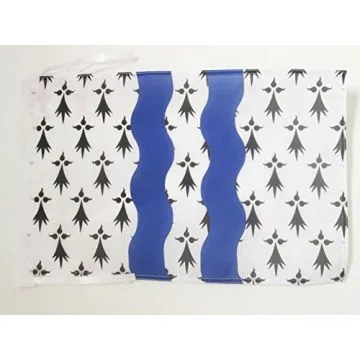 DRAPEAU ILLE-ET-VILAINE 45x30cm - PAVILLON DÉPARTEMENT FRANÇAIS - BRETAGNE 30 x 45 cm haute qualité