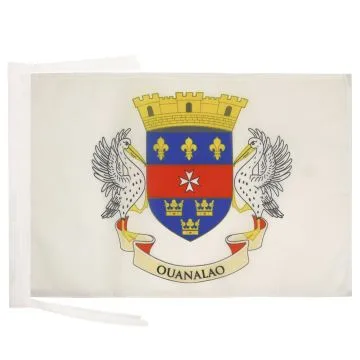DRAPEAU SAINT-BARTHÉLEMY 45x30cm - PAVILLON DE SAINT BARTHÉLÉMY - FRANCE 30 x 45 cm haute qualité