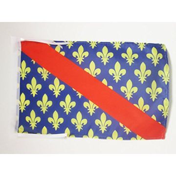 DRAPEAU ALLIER 45x30cm - PAVILLON DÉPARTEMENT FRANÇAIS - AUVERGNE 30 x 45 cm haute qualité