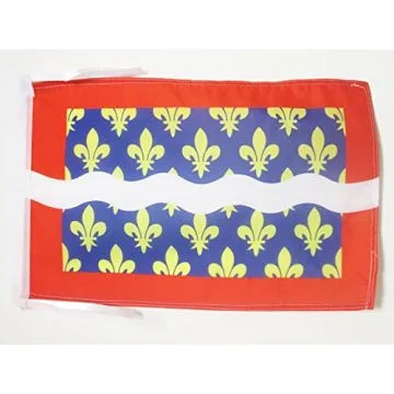 DRAPEAU CHER 45x30cm - PAVILLON DÉPARTEMENT FRANÇAIS - CENTRE 30 x 45 cm haute qualité