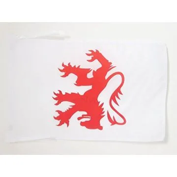 DRAPEAU GERS 45x30cm - PAVILLON DÉPARTEMENT FRANÇAIS - MIDI-PYRÉNÉES 30 x 45 cm haute qualité