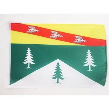 DRAPEAU VOSGES 45x30cm - PAVILLON DÉPARTEMENT FRANÇAIS - LORRAINE 30 x 45 cm haute qualité