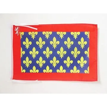 DRAPEAU SARTHE 45x30cm - PAVILLON DÉPARTEMENT FRANÇAIS - PAYS DE LA LOIRE 30 x 45 cm haute qualité