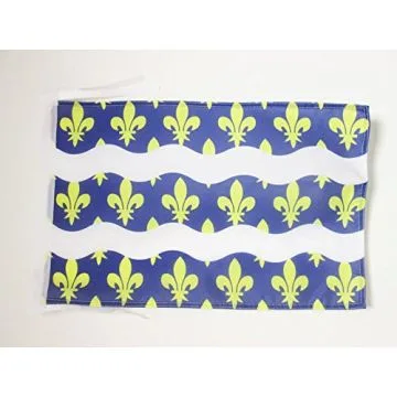 DRAPEAU SEINE-ET-MARNE 45x30cm - PAVILLON DÉPARTEMENT FRANÇAIS - ÎLE-DE-FRANCE 30 x 45 cm haute qualité