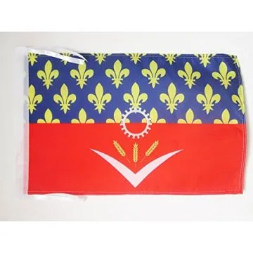 DRAPEAU SEINE-SAINT-DENIS 45x30cm - PAVILLON DÉPARTEMENT FRANÇAIS - ÎLE-DE-FRANCE 30 x 45 cm haute qualité
