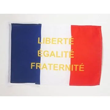 DRAPEAU FRANCE LIBERTÉ EGALITÉ FRATERNITÉ 45x30cm - PAVILLON FRANÇAIS - L.E.F. 30 x 45 cm haute qualité