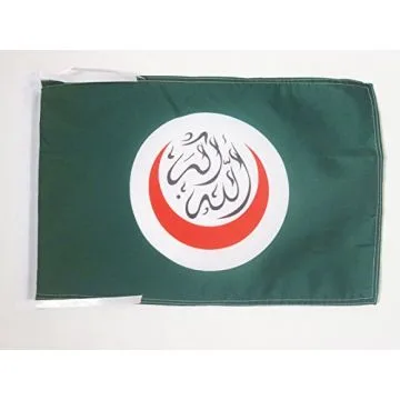 DRAPEAU ORGANISATION DE LA COOPÉRATION ISLAMIQUE 45x30cm - PAVILLON MUSULMAN - OCI 30 x 45 cm haute qualité