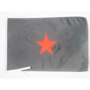 DRAPEAU ARMÉE ZAPATISTE DE LIBÉRATION NATIONALE 45x30cm - PAVILLON EZLN MEXIQUE 30 x 45 cm haute qualité