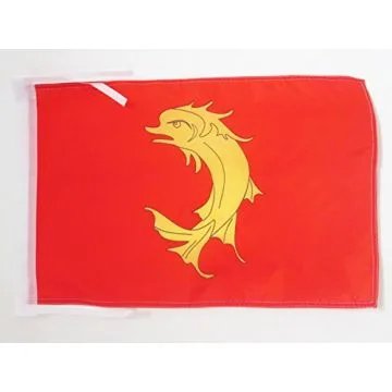 DRAPEAU COMTÉ DE FOREZ 45x30cm - PAVILLON FORÉZIEN - SAINT-ETIENNE 30 x 45 cm haute qualité