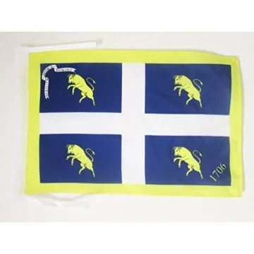 DRAPEAU VILLE DE TURIN 45x30cm - PAVILLON TURINOIS - TORINO 30 x 45 cm haute qualité