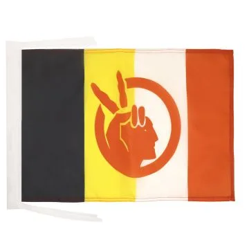 DRAPEAU AMERICAN INDIAN MOVEMENT 45x30cm - PAVILLON MOUVEMENT DES INDIENS D?AMÉRIQUE 30 x 45 cm haute qualité